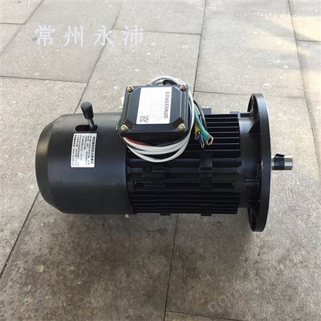 YP100系列48V直流剎車電機 直流永磁制動電機 24V直流無刷電機帶剎車