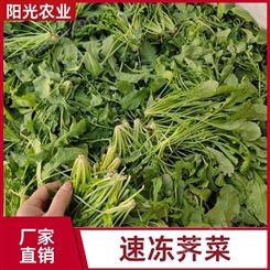 储存方便 速冻荠菜 富含营养 养生菜馄饨馅 阳光农业