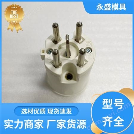 齊全供應(yīng)穩(wěn)定 電源插頭 高壓保護(hù) 滿足創(chuàng)造需求 永盛模具