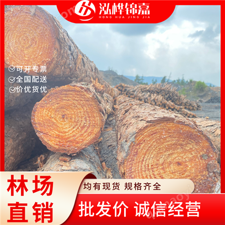 建材防护及市政设施观景绿化工程松木桩 、打桩木各种规格桩木
